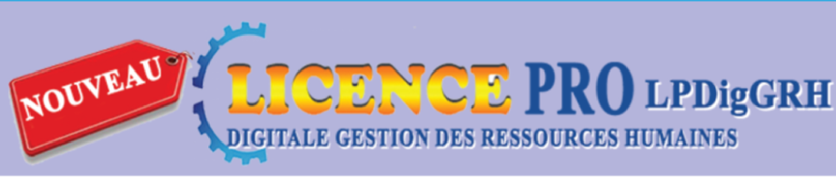 Licence Pro Digitale GRH